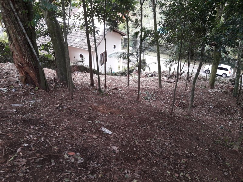 Terreno à venda Carlos Guinle com 565m² e 1 quarto por R$ 350.000 - 488055714-20180912-150648.jpg