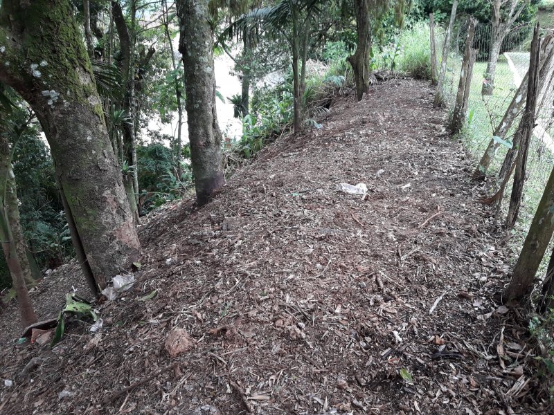 Terreno à venda Carlos Guinle com 565m² e 1 quarto por R$ 350.000 - 633107369-20180912-150138.jpg
