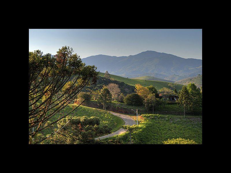 Casa de condomínio à venda Centro com 348m² e 4 quartos por R$ 1.880.000 - 1600651868-206.jpg