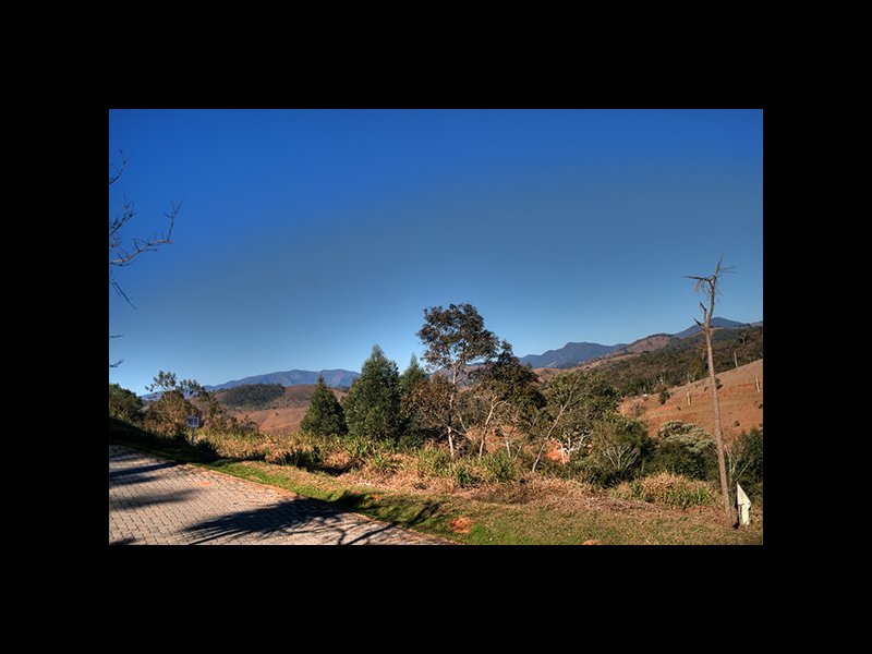 Casa de condomínio à venda Centro com 348m² e 4 quartos por R$ 1.880.000 - 2075883741-204.jpg