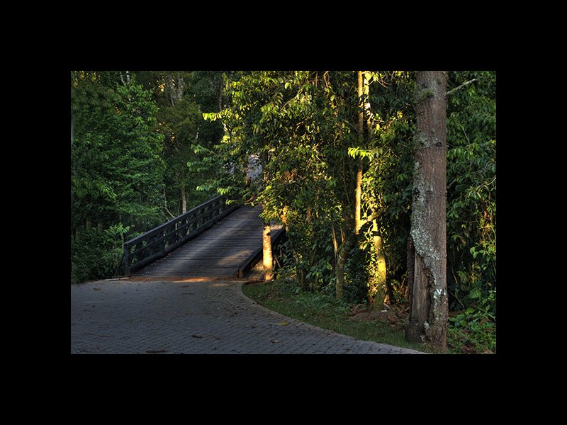 Casa de condomínio à venda Centro com 348m² e 4 quartos por R$ 1.880.000 - 231732502-203.jpg