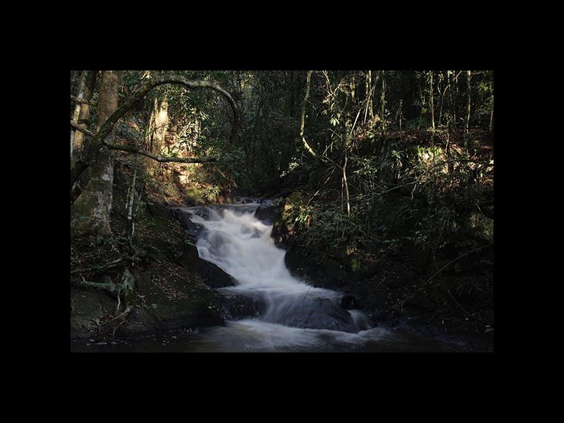 Casa de condomínio à venda Centro com 348m² e 4 quartos por R$ 1.880.000 - 860508681-200.jpg