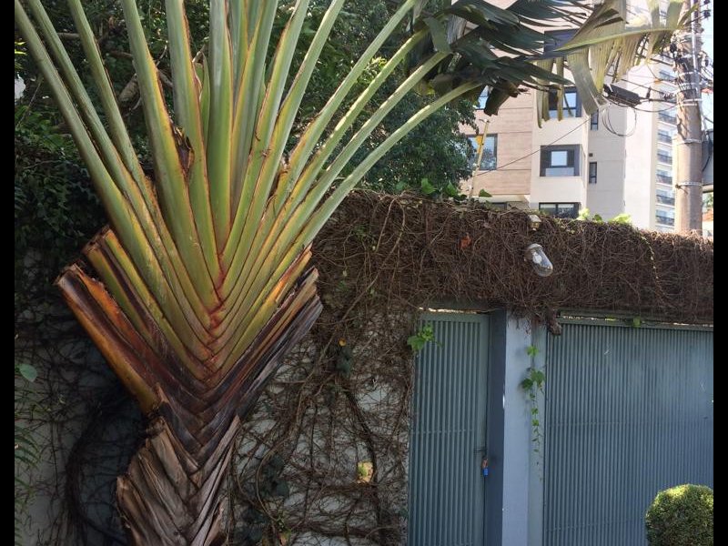 Casa à venda Alto da Lapa com 245m² e 3 quartos por R$ 1.465.000 - 1060174097-79e79a76-0f64-42e5-a4a4-c522fb639544.jpeg