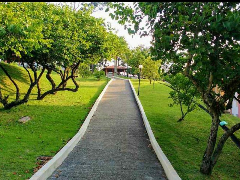 Apartamento à venda Jardim Santo André com 53m² e 2 quartos por R$ 200.000 - 1907952567-inbound1152634087219831770.jpg