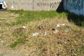 Terreno à venda Parque Jaraguá com 186m² - 1 dormitório -  vagas - R$ 85.000 - 1147857872-20210508-152553.jpg