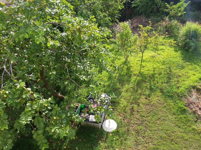Terreno à venda Campo Grande com 117m² e 1 quarto por R$ 115.000 - 716976612-foto-7-terreno.jpeg