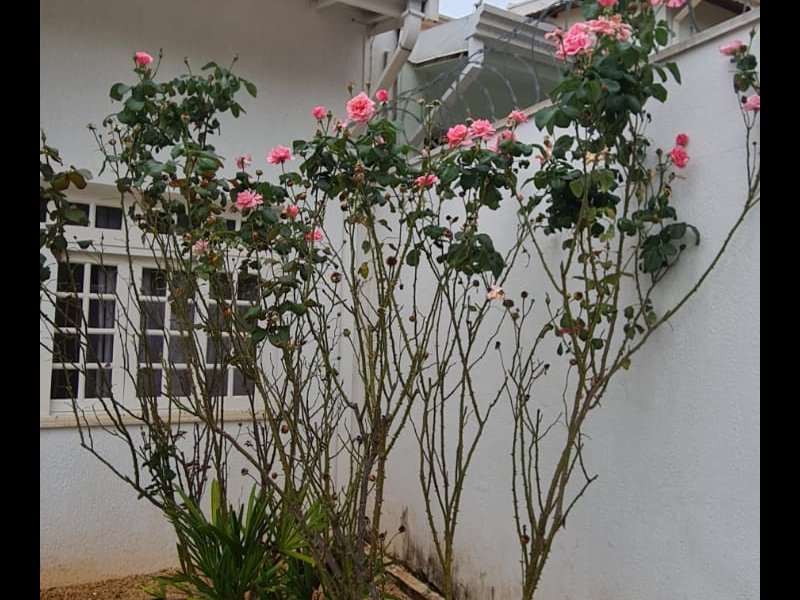 imóvel com 200m² - Loteamento Arboreto dos Jequitibas (Sousas) - Campinas
