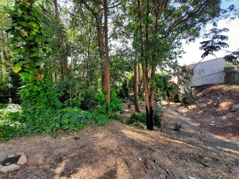 Terreno à venda Vila Santa Teresa (Zona Sul) com 126m² e 1 quarto por R$ 240.000 - 643024592-20210322-093634.jpg