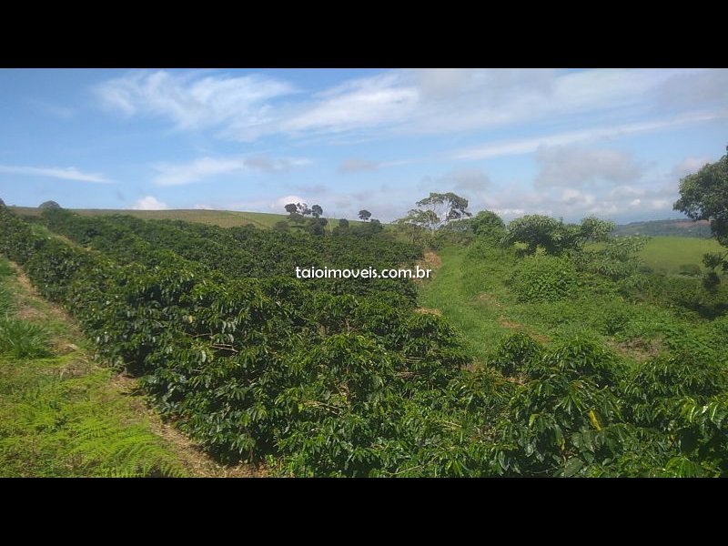 Fazenda à venda Centro com 55000m² e 3 quartos por R$ 7.650.000 - 1313329239-img-20201220-wa0008.jpg