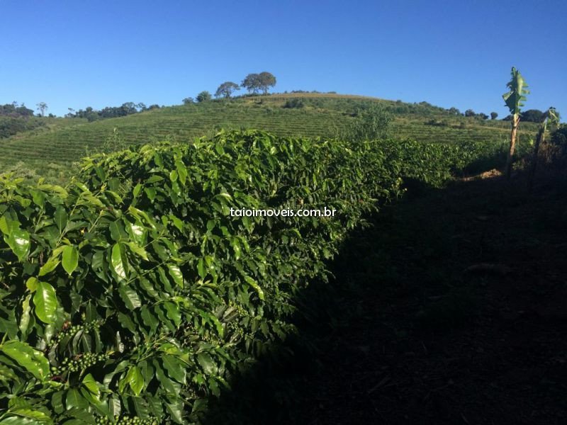 Fazenda à venda Centro com 55000m² e 3 quartos por R$ 7.650.000 - 162196266-img-20201207-wa0053.jpg