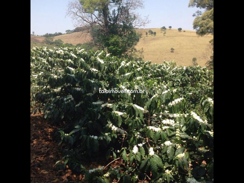 Fazenda à venda Centro com 55000m² e 3 quartos por R$ 7.650.000 - 1729150015-img-20201207-wa0024.jpg