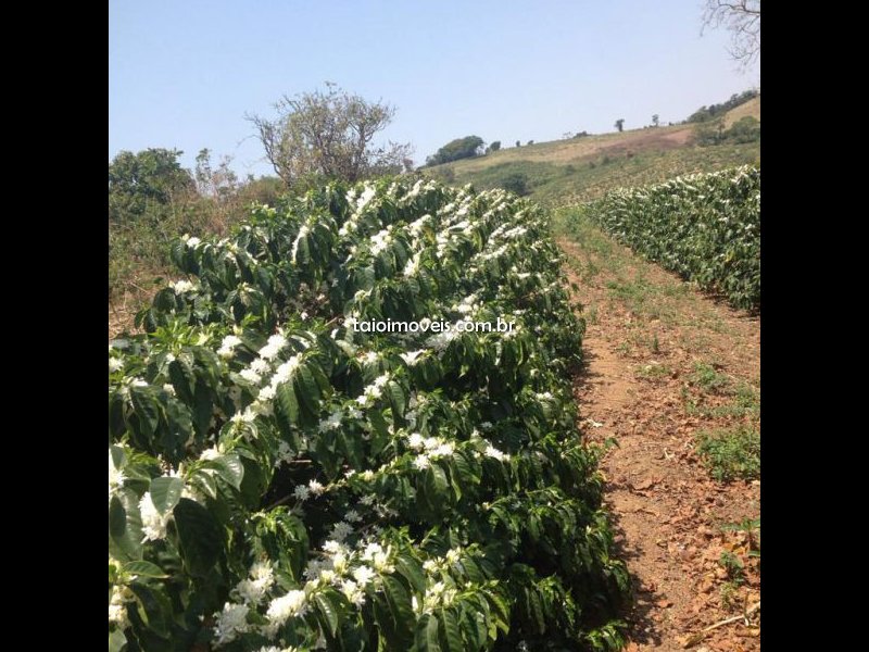 Fazenda à venda Centro com 55000m² e 3 quartos por R$ 7.650.000 - 1979941443-img-20201207-wa0025.jpg