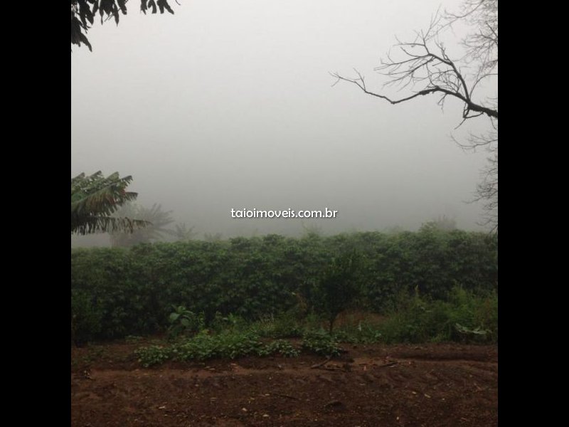 Fazenda à venda Centro com 55000m² e 3 quartos por R$ 7.650.000 - 263671746-img-20201207-wa0083.jpg