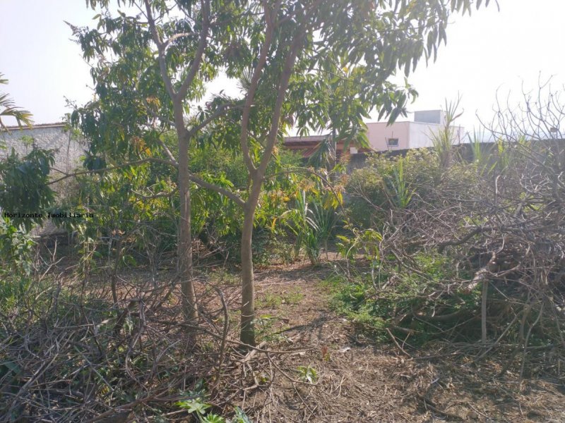 Chácara à venda Chacara Santa Leticia com 200m² e 3 quartos por R$ 550.000 - 1085283247-5.jpg