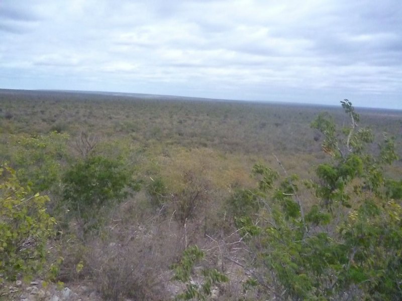 Terreno à venda Centro com 3571920m² e 1 quarto por R$ 500.000 - 1429089455-whatsapp-image-2021-10-22-at-09.jpeg