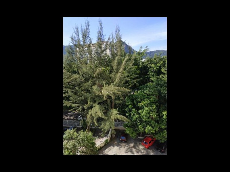 Apartamento à venda Jacarepaguá com 53m² e 2 quartos por R$ 235 - 1262936917-444914117799277.jpg