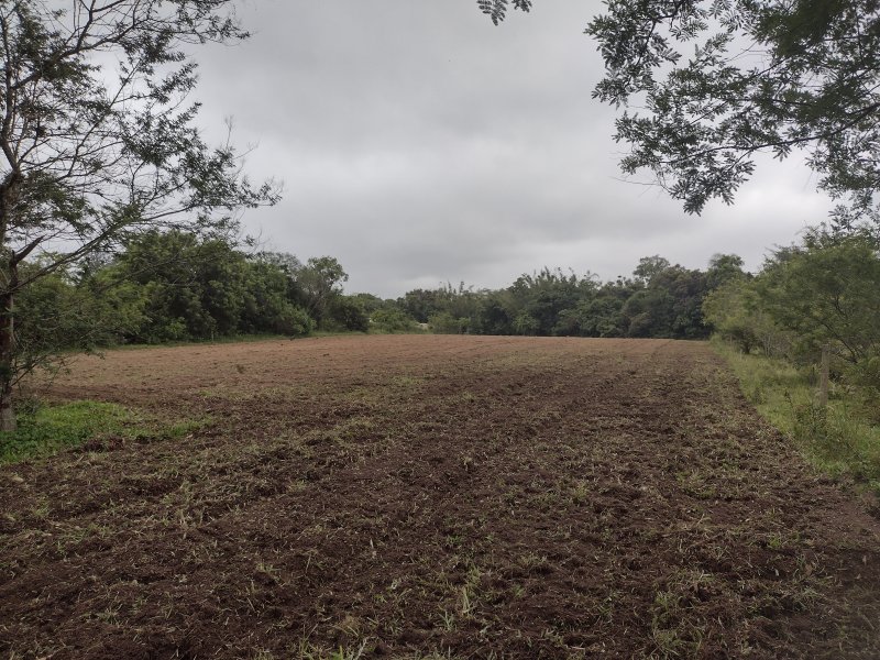Sítio à venda Parque Itacolomi com 25000m² e 3 quartos por R$ 650.000 - 861696420-inbound6812154836128330903.jpg
