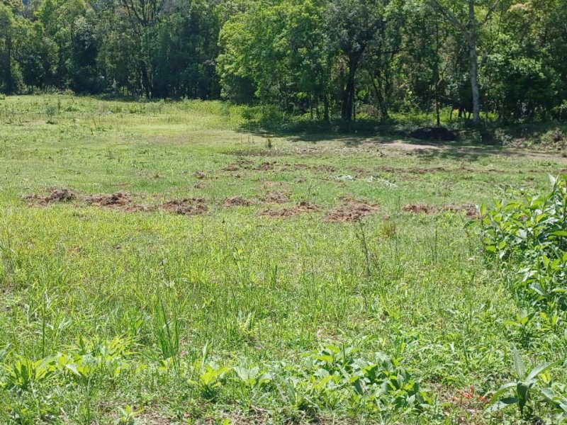 Terreno à venda Centro com 435m² e 1 quarto por R$ 60.000 - 1493827853-6b8cc7f6-dee0-491b-bff2-8640d5c70493.jpeg