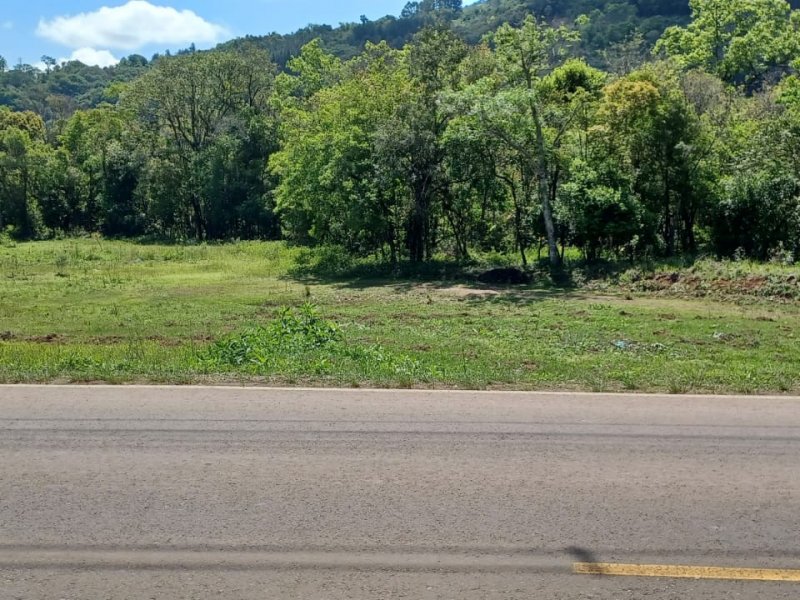 Terreno à venda Centro com 435m² e 1 quarto por R$ 60.000 - 331038521-e6908445-8365-4b70-8493-bfd40f3c3802.jpeg