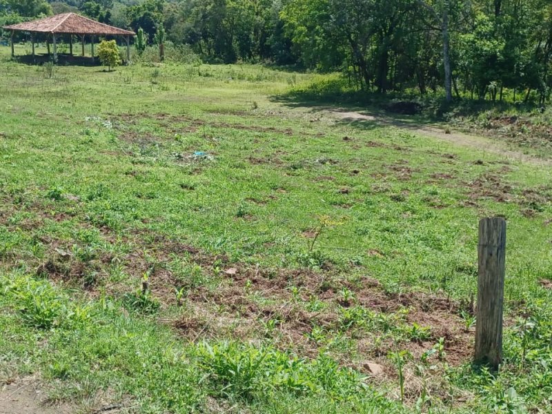 Terreno à venda Centro com 435m² e 1 quarto por R$ 60.000 - 576085715-937ab124-84e4-4598-a145-bba2e8f92571.jpeg