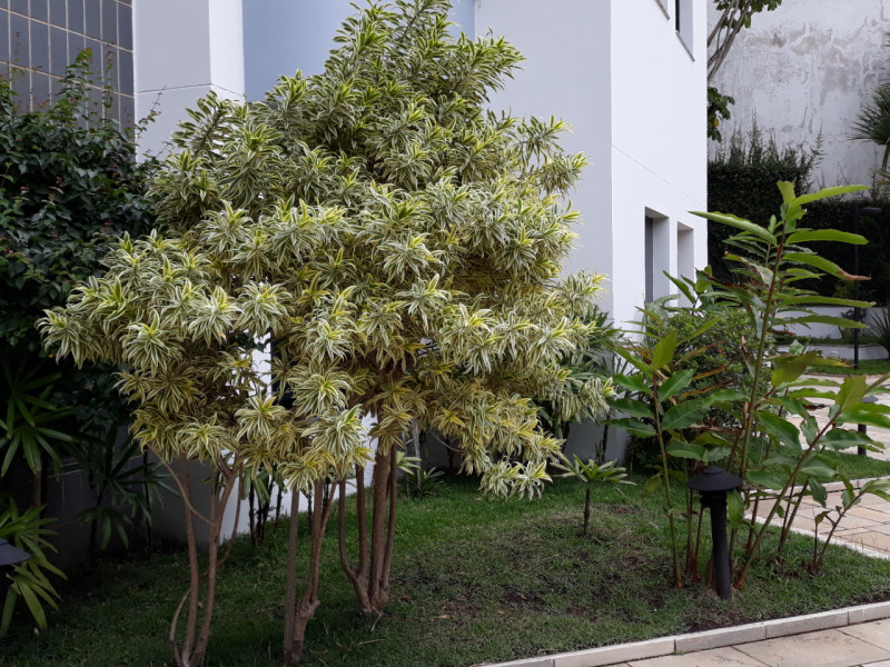 Apartamento à venda Vila Andrade com 47m² e 1 quarto por R$ 370.000 - 20211025-110551.jpg