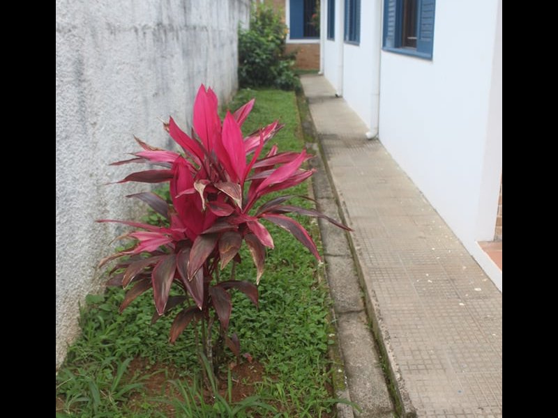 Casa à venda Praia das Toninhas com 250m² e 4 quartos por R$ 1.200.000 - 606145299-248705587-415545789947208-1703388836015352568-n.jpg