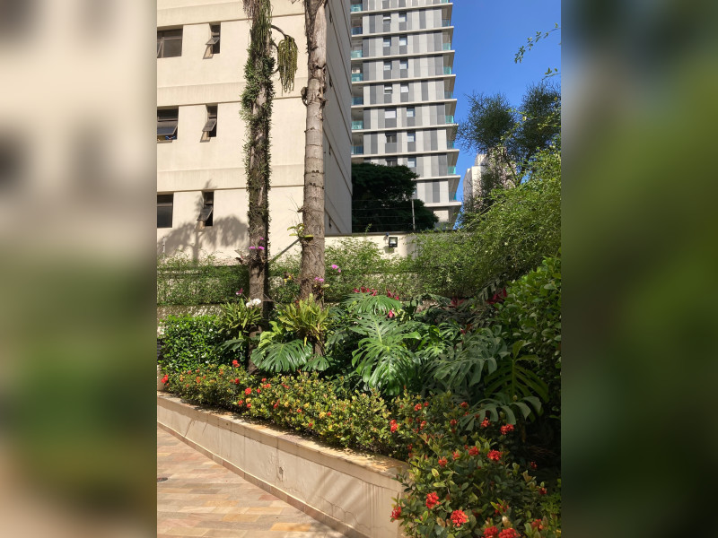 imóvel com 157m² - Moema - São Paulo