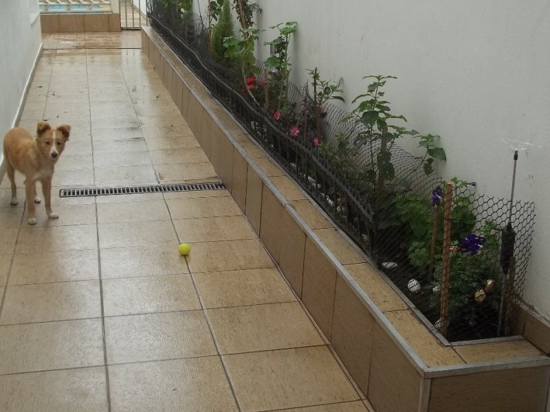 Casa à venda Quinta da Paineira com 244m² e 3 quartos por R$ 710.000 - 1114125835-foto-corredor.jpeg