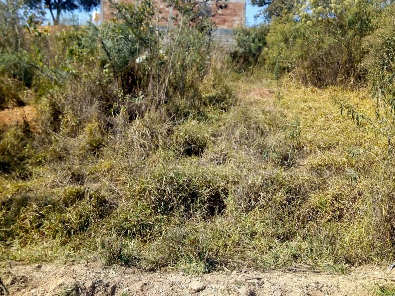 Terreno à venda Belvedere com 253m² e 1 quarto por R$ 110.000 - 1302366553-img-20180708-114042860-hdr.jpg