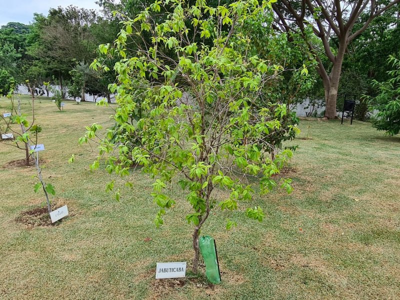 Casa de condomínio à venda Jardim Res. Maria Dulce com 270m² e 4 quartos por R$ 1.700.000 - 318345345-lazer4.jpg