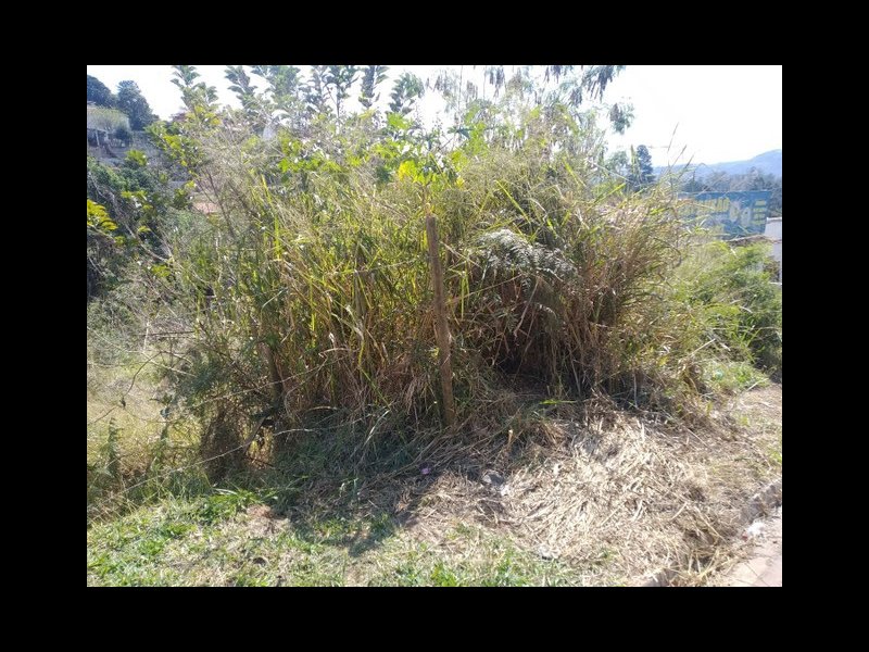 Terreno à venda Recanto Maravilha III com 791m² e 1 quarto por R$ 125.000 - 324409674-576170550114704.jpg