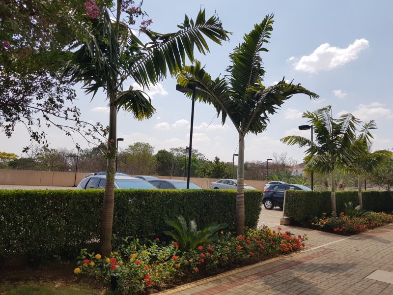 imóvel com 69m² - Centro - Piracicaba