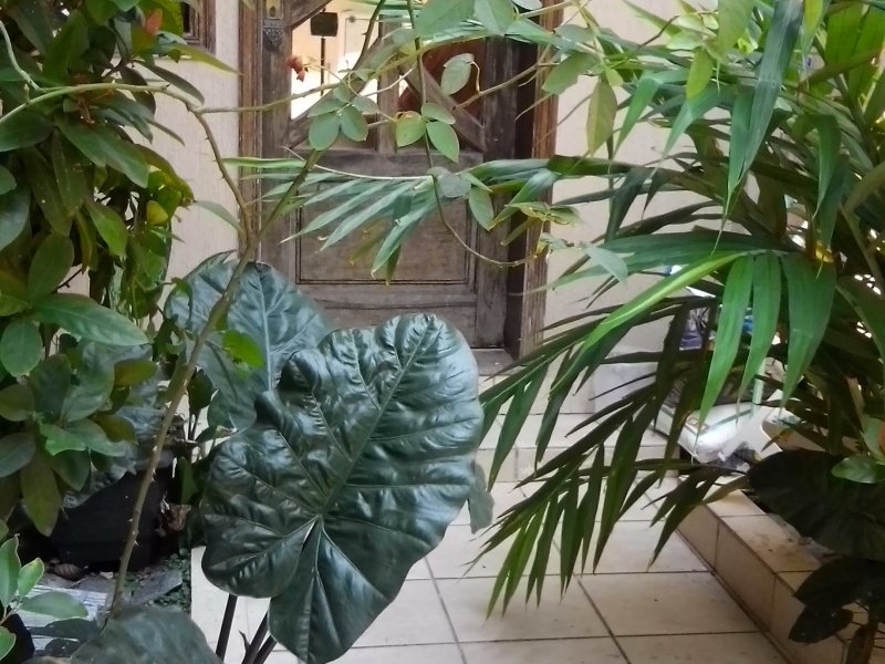 Casa à venda Centro com 217m² e 3 quartos por R$ 850.000 - 119616702-cam00155.jpg