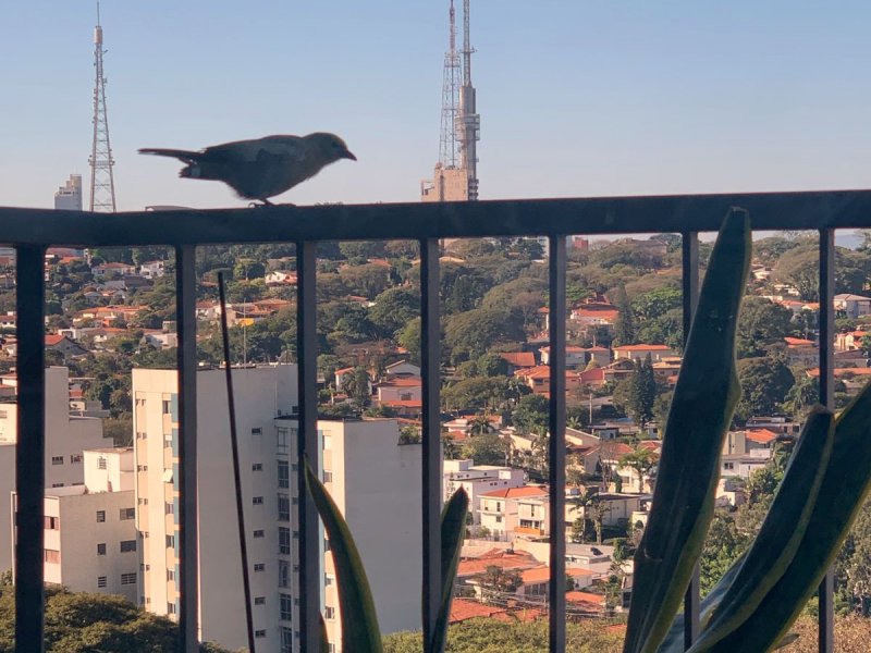 imóvel com 85m² - Sumarézinho - São Paulo