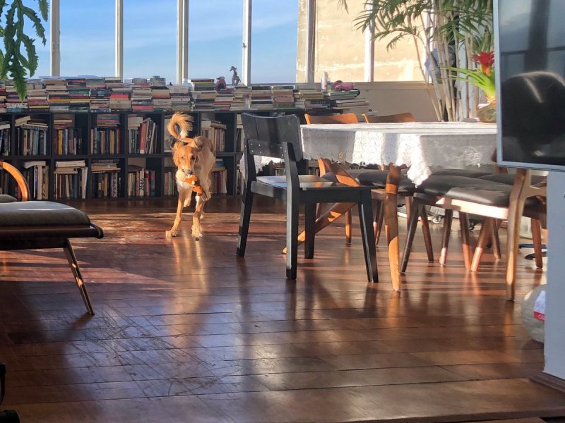 imóvel com 85m² - Sumarézinho - São Paulo