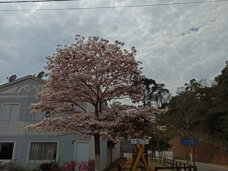 Casa de condomínio à venda Jardim Ísis com 118m² e 3 quartos por R$ 350.000 - 136595461-img-20210908-095103.jpg