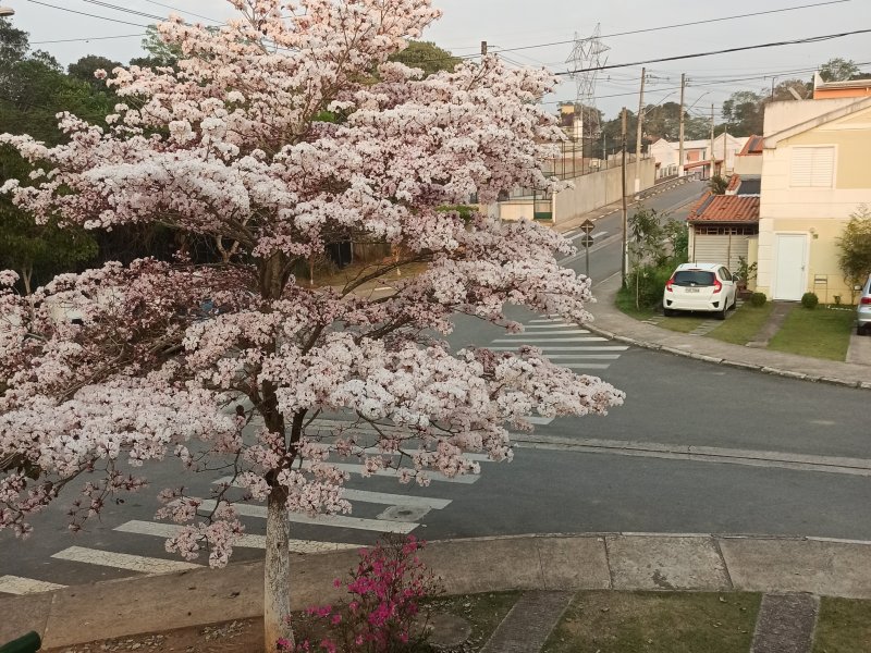 Casa de condomínio à venda Jardim Ísis com 118m² e 3 quartos por R$ 350.000 - 530443245-img-20210908-065028.jpg