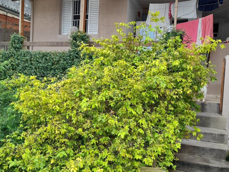 Casa à venda Jardim Anchieta com 250m² e 3 quartos por R$ 450.000 - 1703196275-20210115-120858.jpg