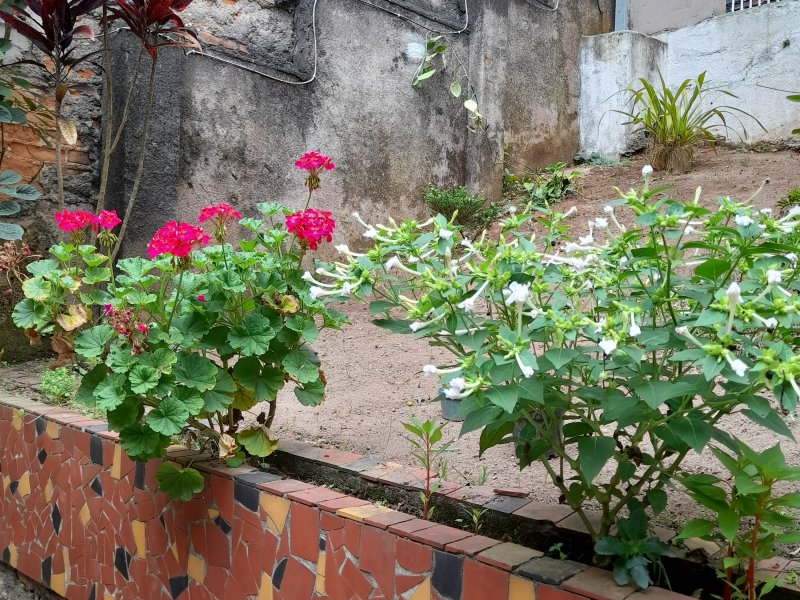 Casa à venda Jardim Anchieta com 250m² e 3 quartos por R$ 450.000 - 43220051-20210115-121336.jpg