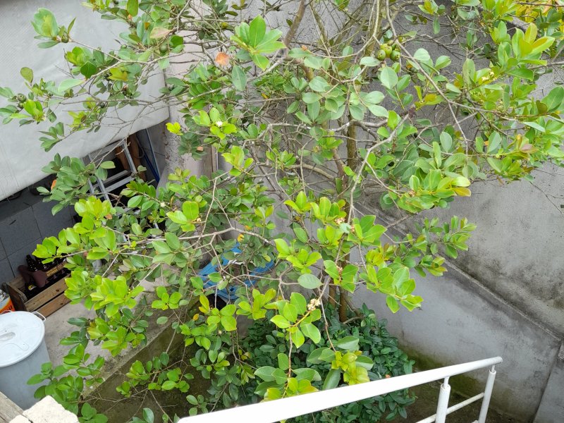 Casa à venda Jardim Anchieta com 250m² e 3 quartos por R$ 450.000 - 616152022-20210115-120910.jpg