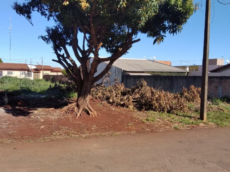 Terreno à venda Jardim Petrópolis com 392m² e 1 quarto por R$ 230.000 - 1367993649-whatsapp-image-2021-09-21-at-17.jpeg
