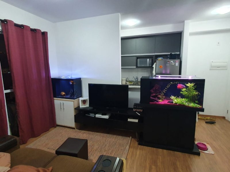 imóvel com 53m² - Jardim das Laranjeiras - São Paulo