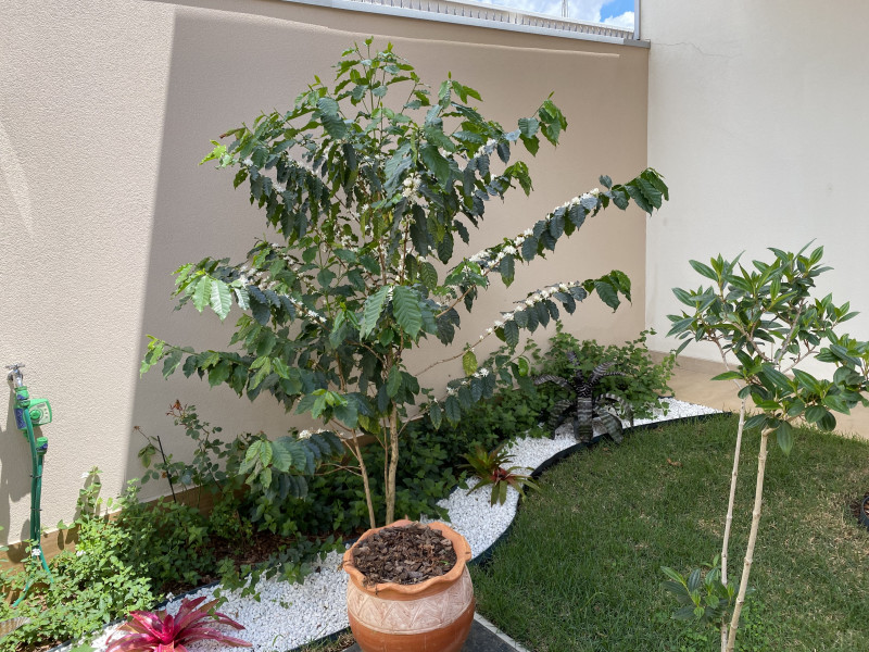 imóvel com 263m² - Jardim Macarengo - São Carlos