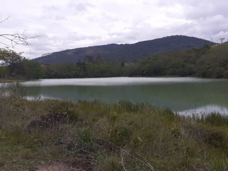 Terreno à venda Parque Primavera com 11m² e 1 quarto por R$ 1.600.000 - 1265565663-it-lago-2.jpg