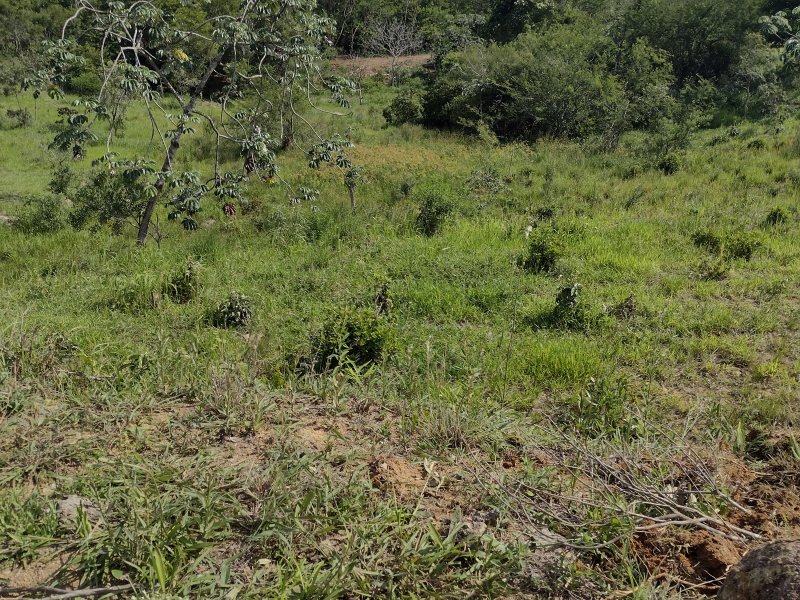 Terreno à venda Parque Primavera com 11m² e 1 quarto por R$ 1.600.000 - 1473130042-it-terreno-13.jpg