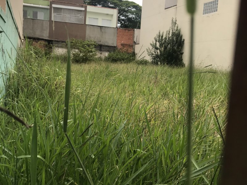 imóvel com 360m² - Vila Homero Thon - Santo André