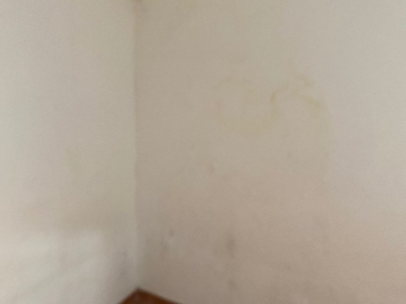 Casa à venda Olaria com 70m² e 2 quartos por R$ 40.000 - 352237251-whatsapp-image-2021-10-26-at-11.jpeg