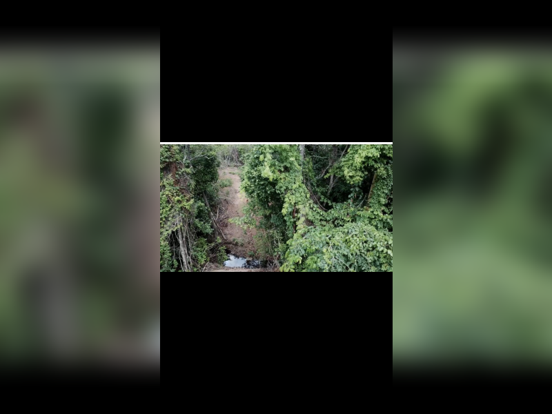 Chácara à venda Zona Rural com 97m² e 1 quarto por R$ 250 - cdf5b4f2-bcbd-48a9-8b7f-9dff66b690be.png