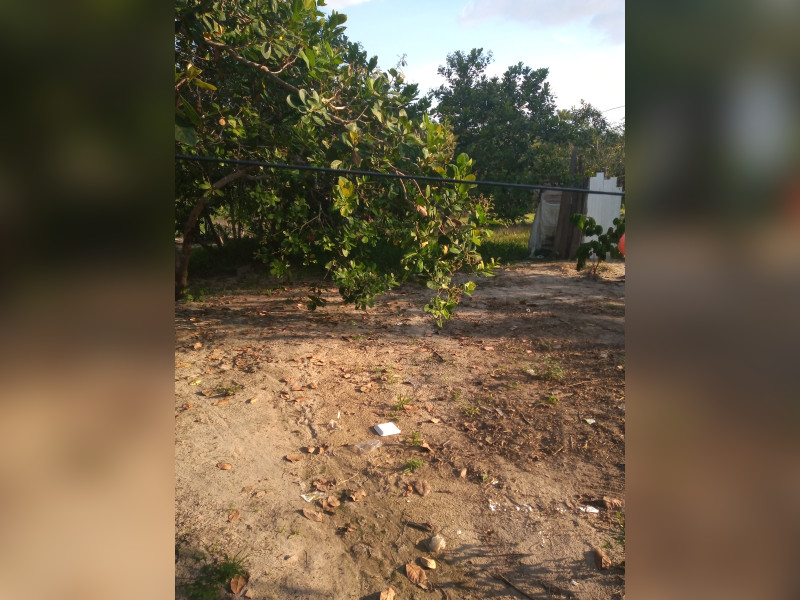 Terreno à venda Liberdade com 13m² e 1 quarto por R$ 20.000 - img-20211012-162826661.jpg
