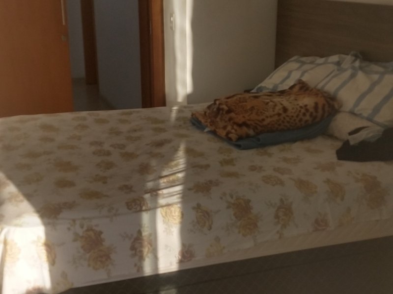 imóvel com 180m² - Vila América - Santo André